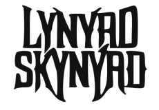 Screenshot-2025-02-14-172404