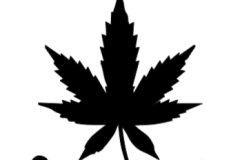 Screenshot-2025-03-02-142039